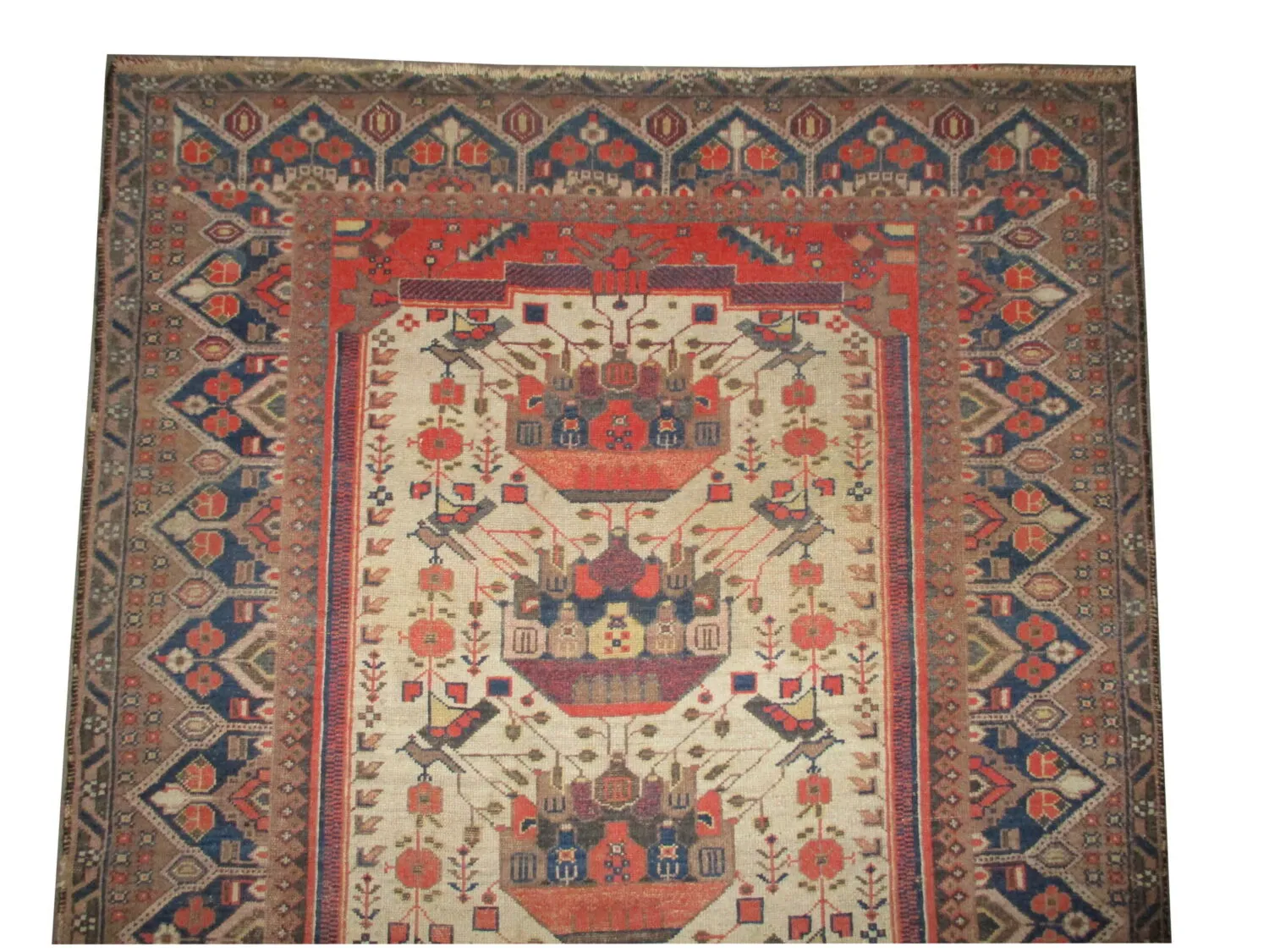 Mazagan Persian - Image 3