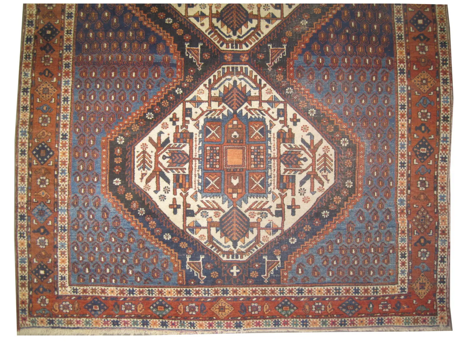 Afshar Persian - Image 2