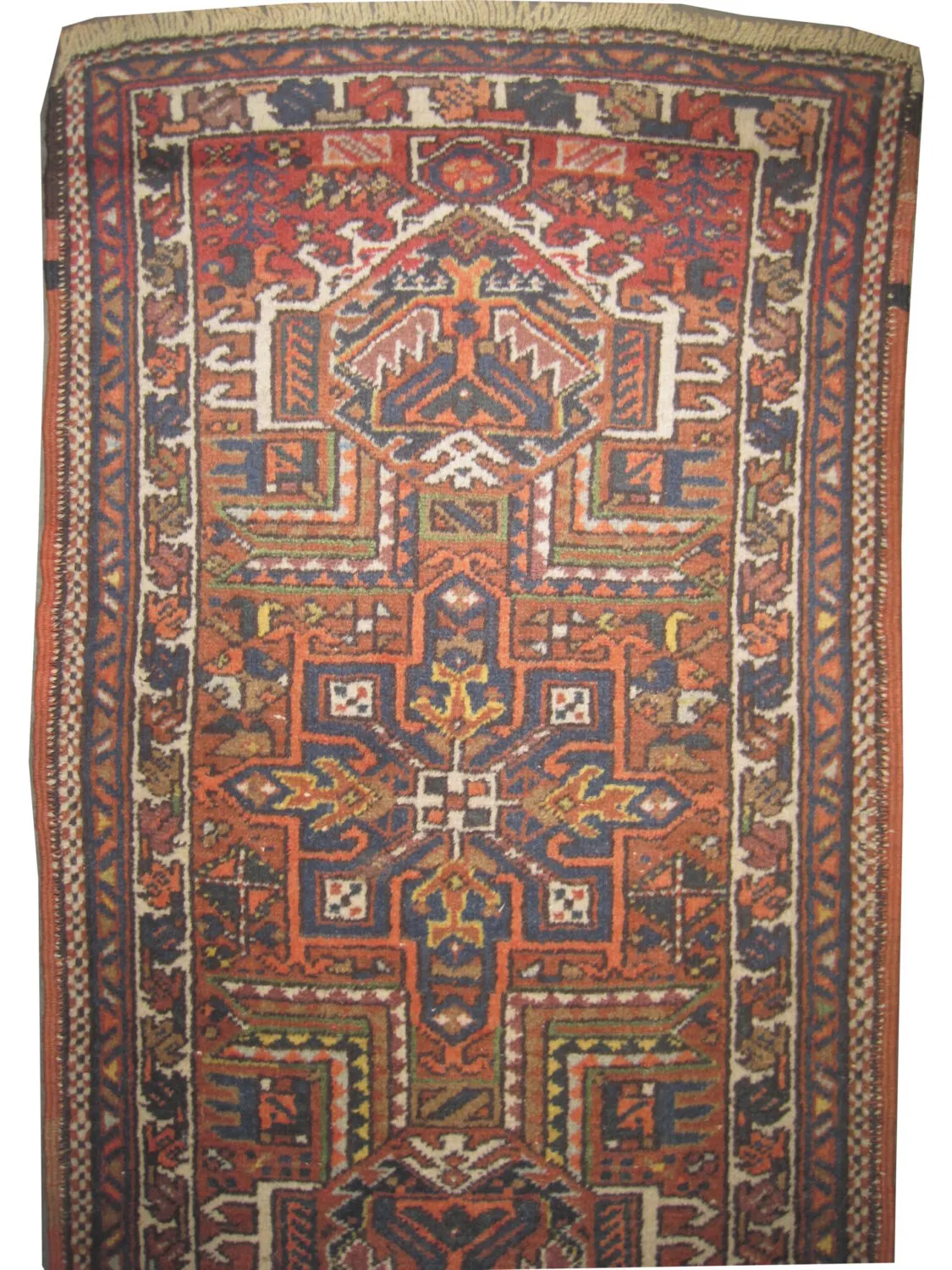 Karadja Persian - Image 2