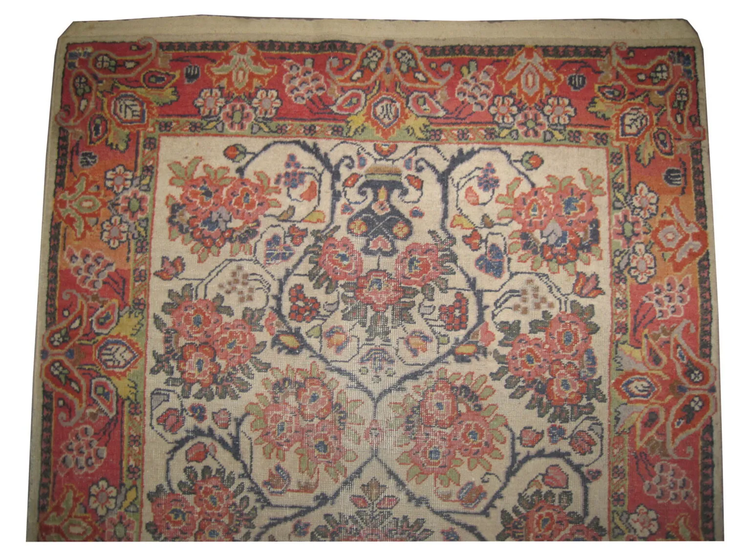 Mahal Persian - Image 3