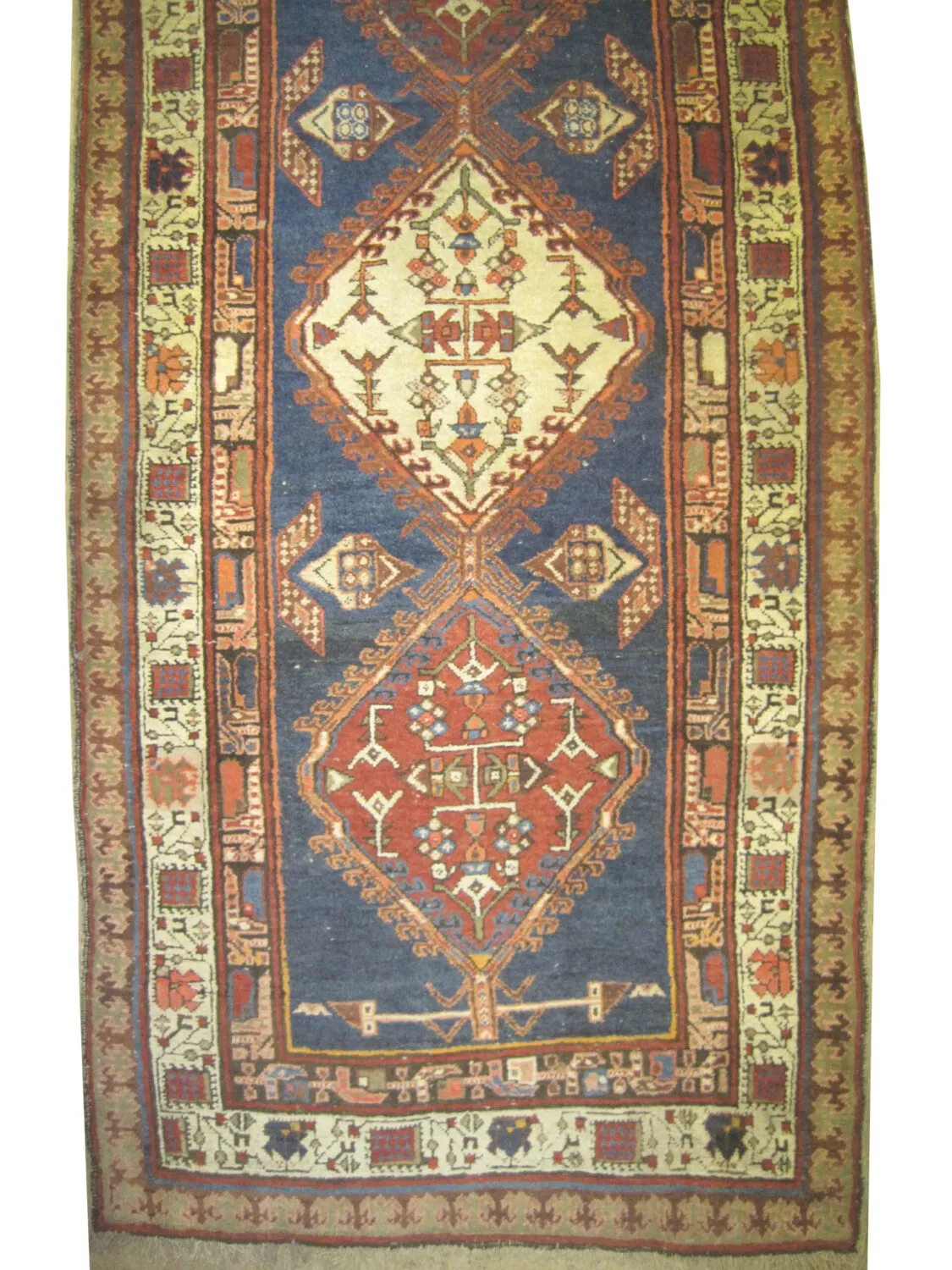 Sarab Persian - Image 2
