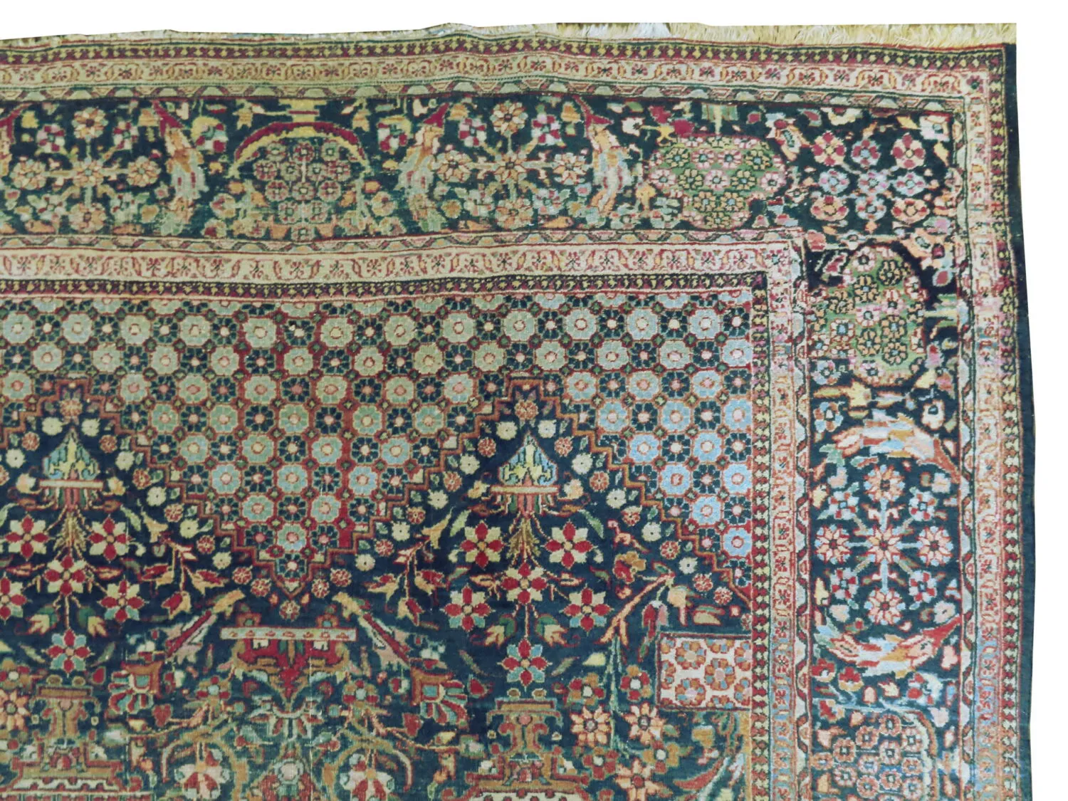 Mohtashem Kashan Persian - Image 2