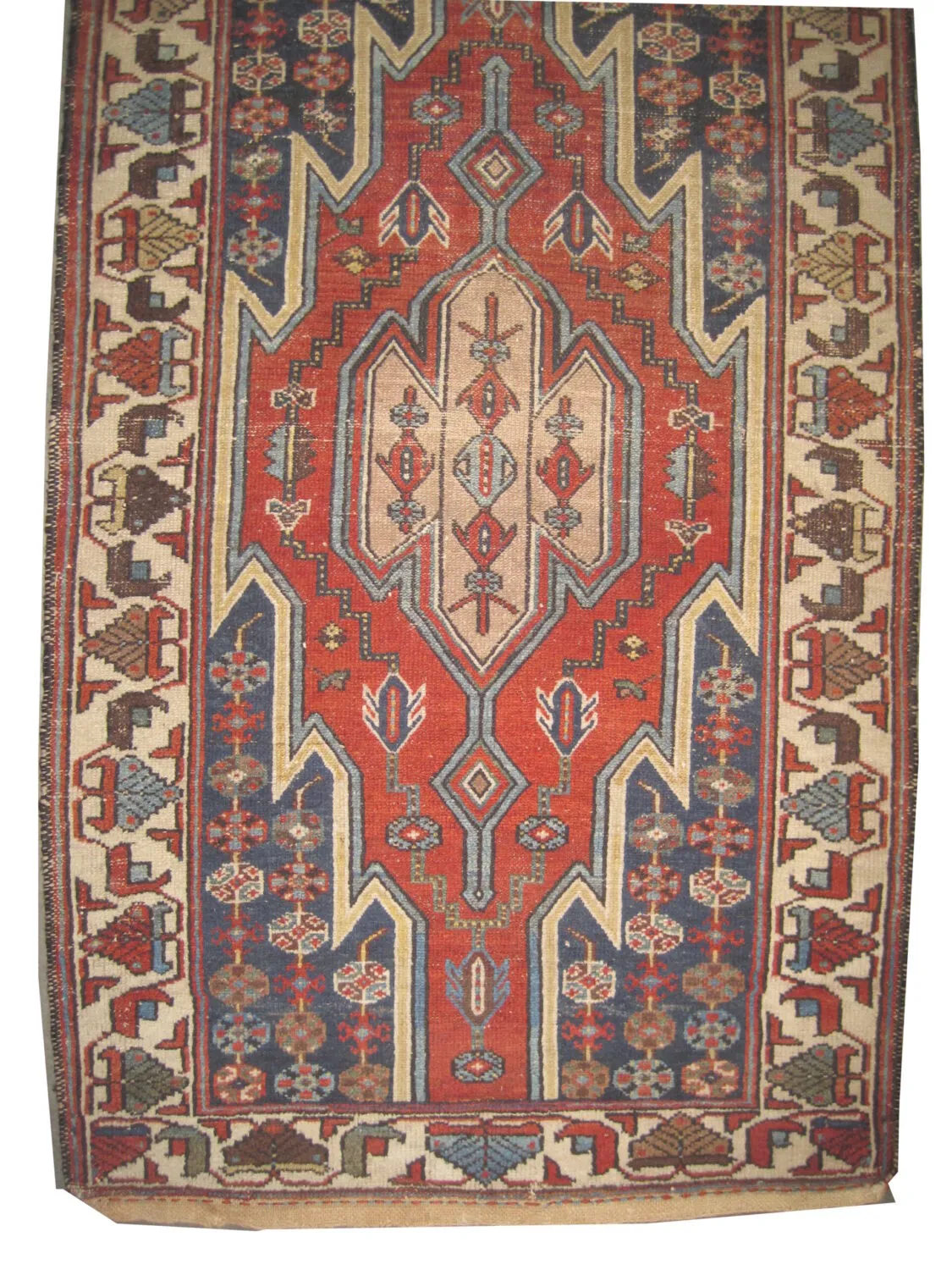 Noubaran Persian - Image 2