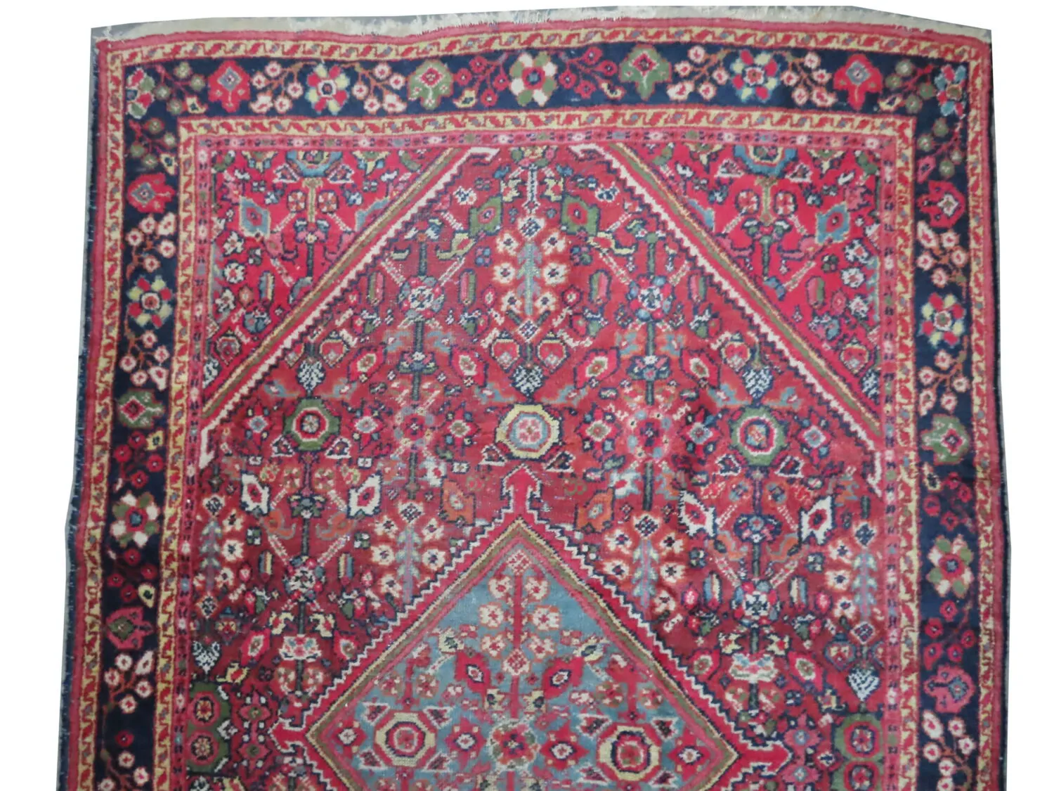 Mahal Persian - Image 3