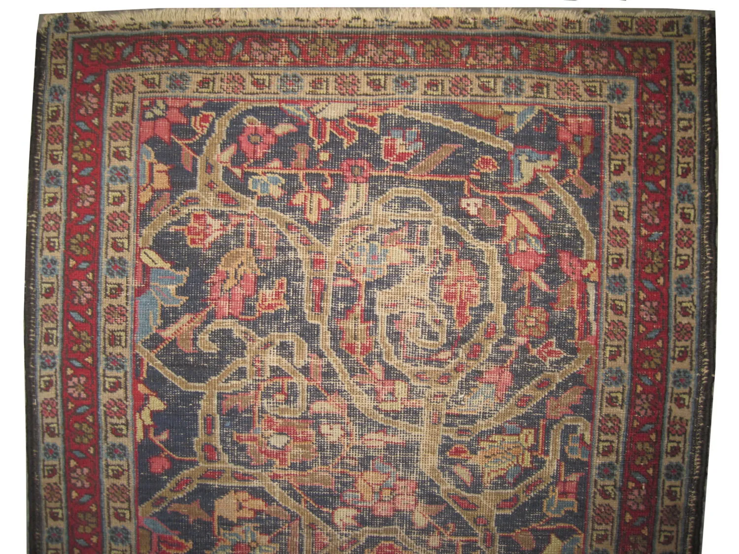 Tabriz Persian - Image 2