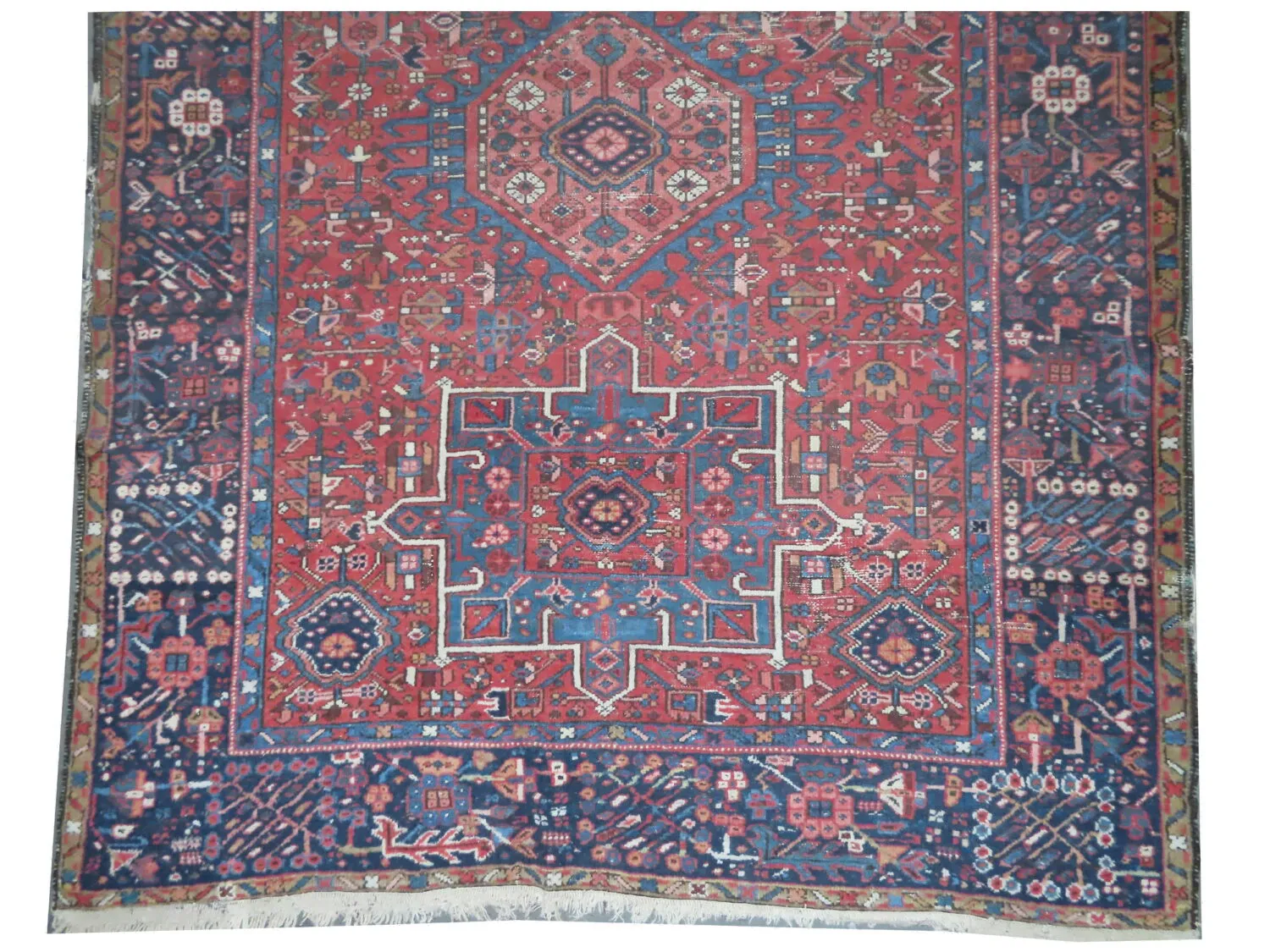 Karadja Persian - Image 2