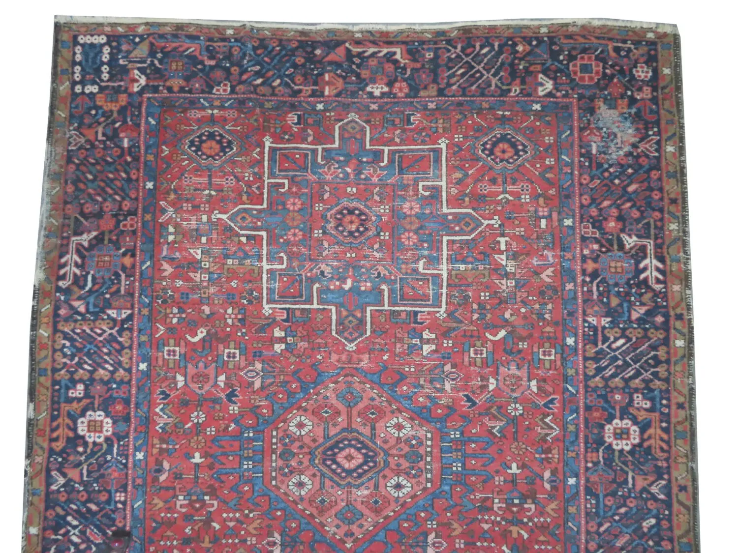 Karadja Persian - Image 3