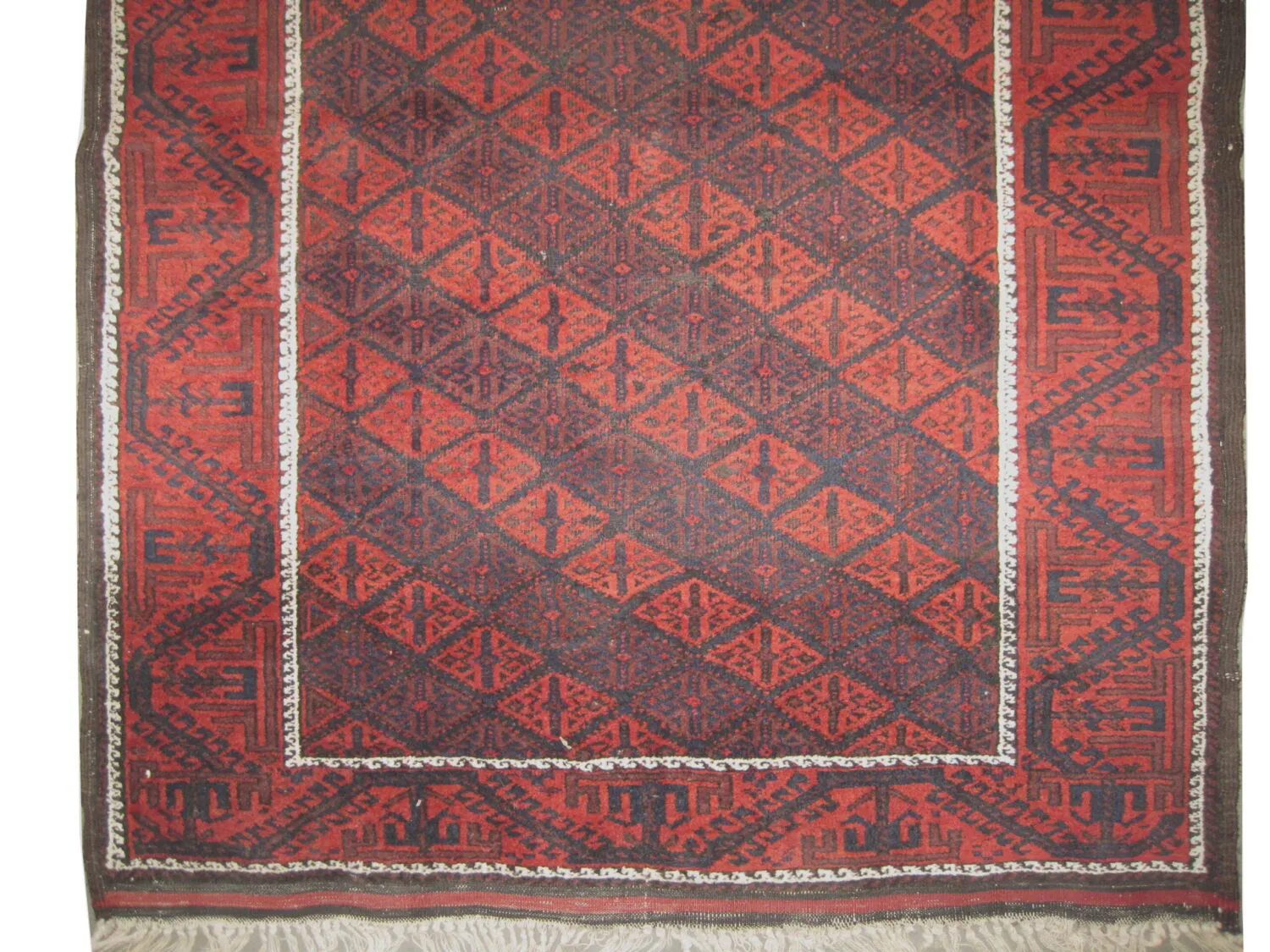 Belutsch Persian - Image 3