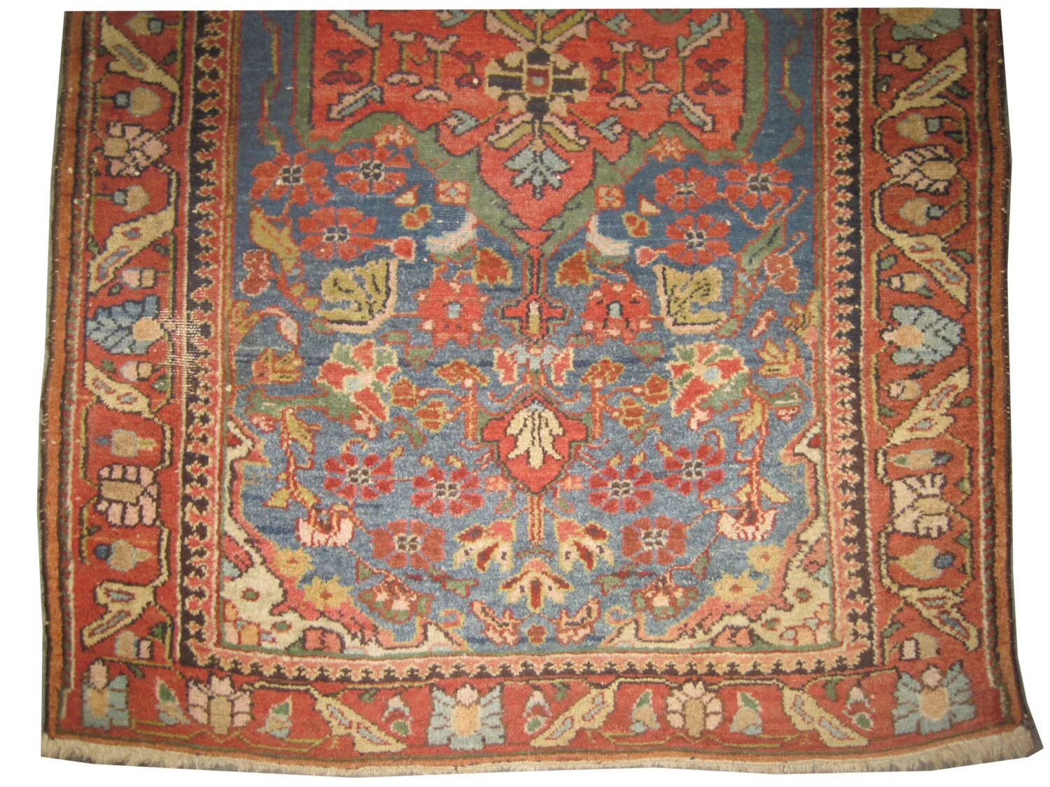 Malaier Persian - Image 2