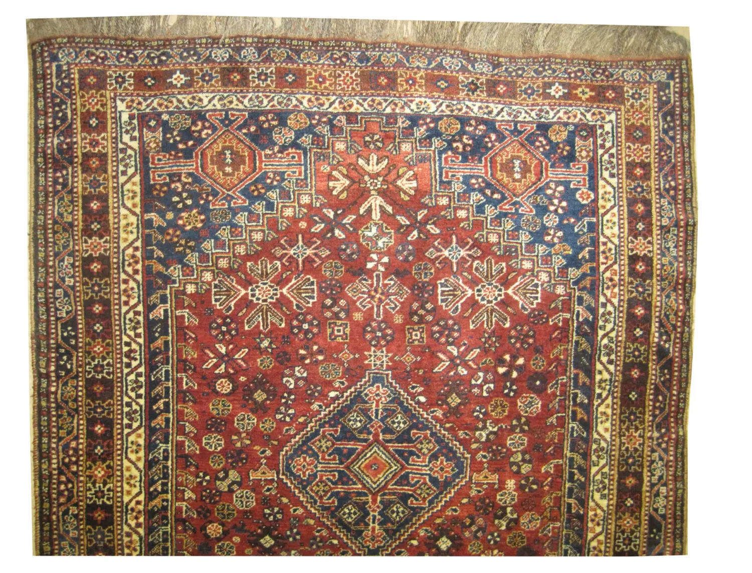 Qashqai Persian - Image 2