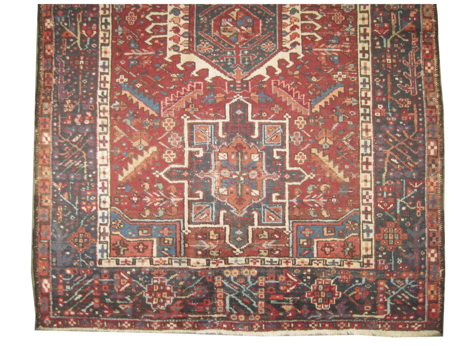 Karadja Persian - Image 2