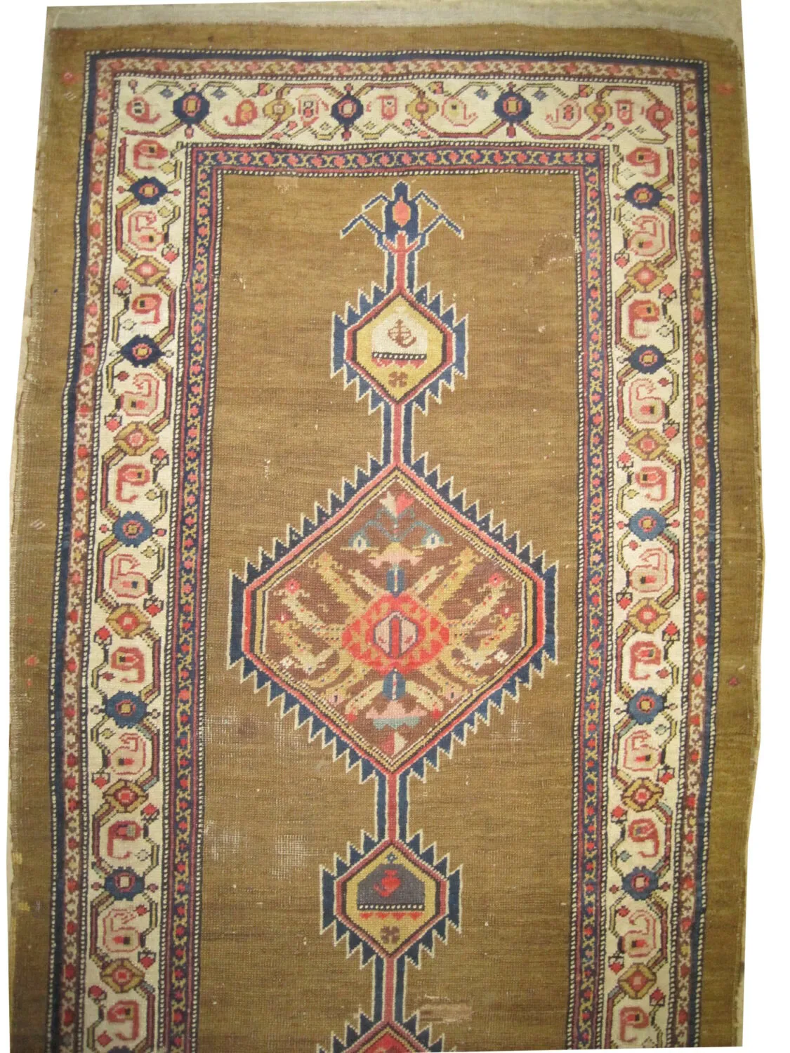 Sarab Persian - Image 2