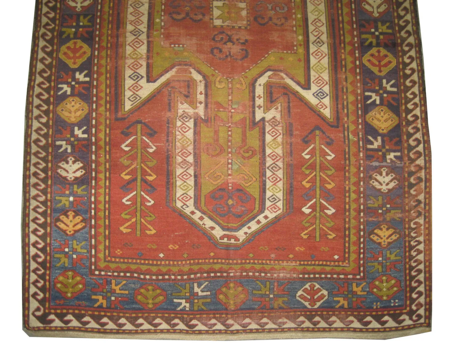 Sevan Kazak Caucasian - Image 2