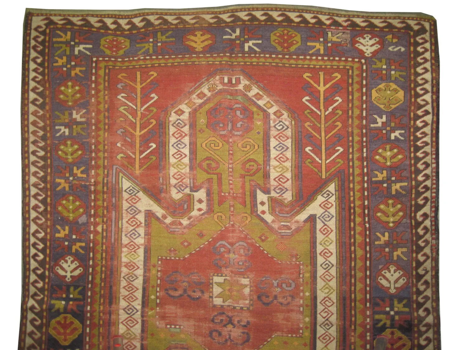 Sevan Kazak Caucasian - Image 3