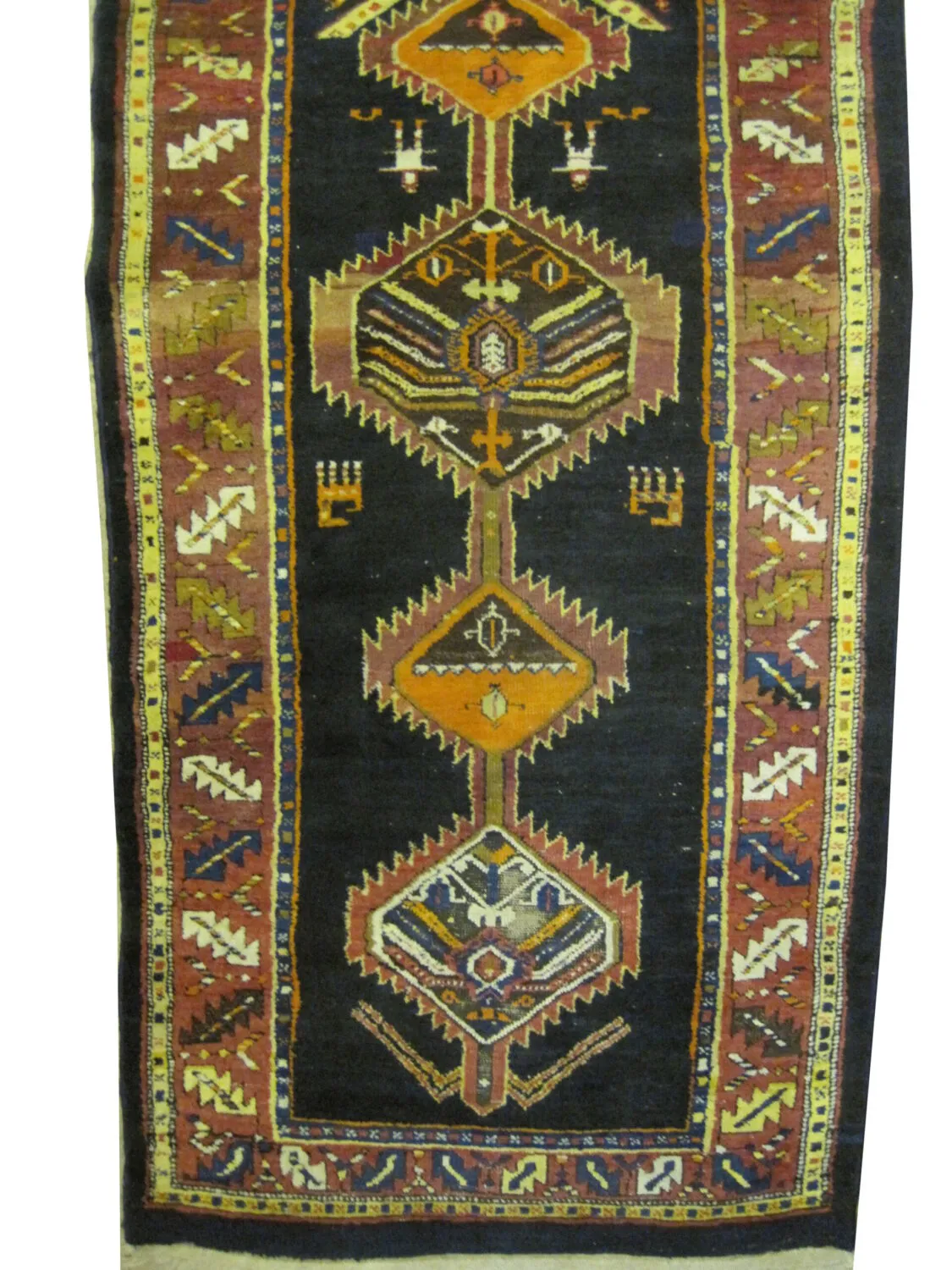 Meshgin Persian - Image 3