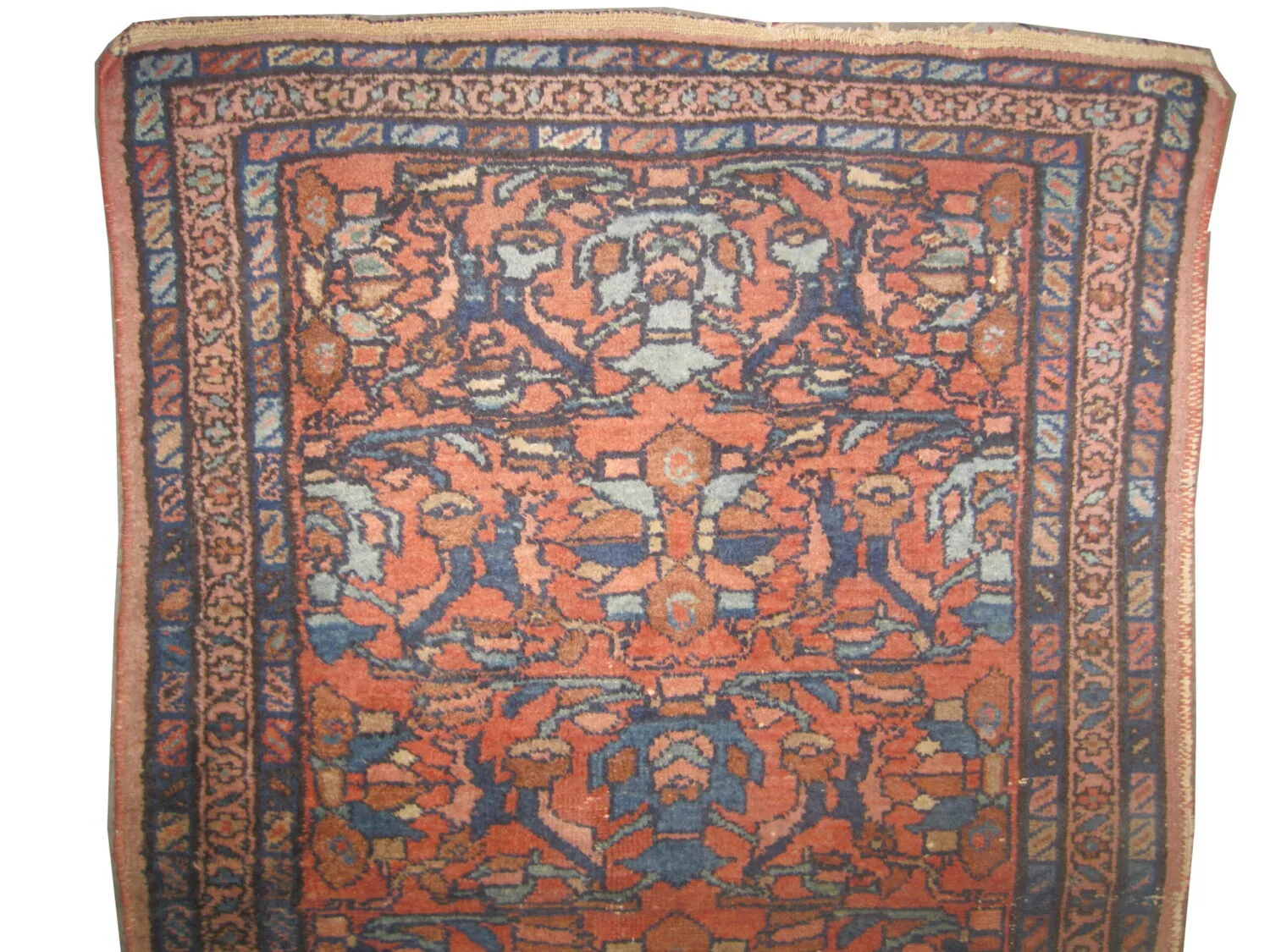 Lilihan Persian - Image 3
