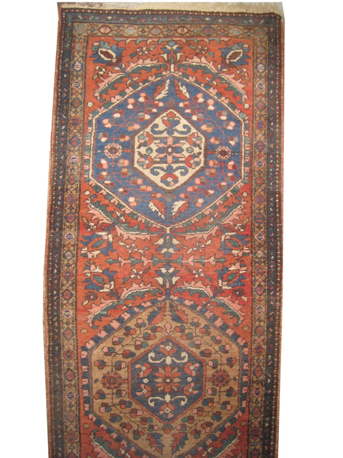 Shahsavan Persian - Image 2
