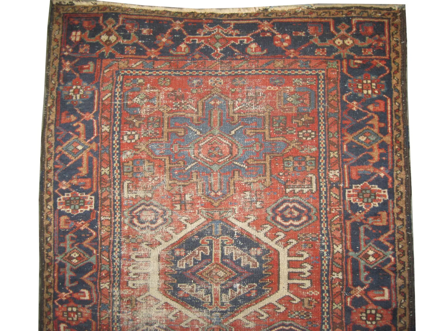 Karadja Persian - Image 2