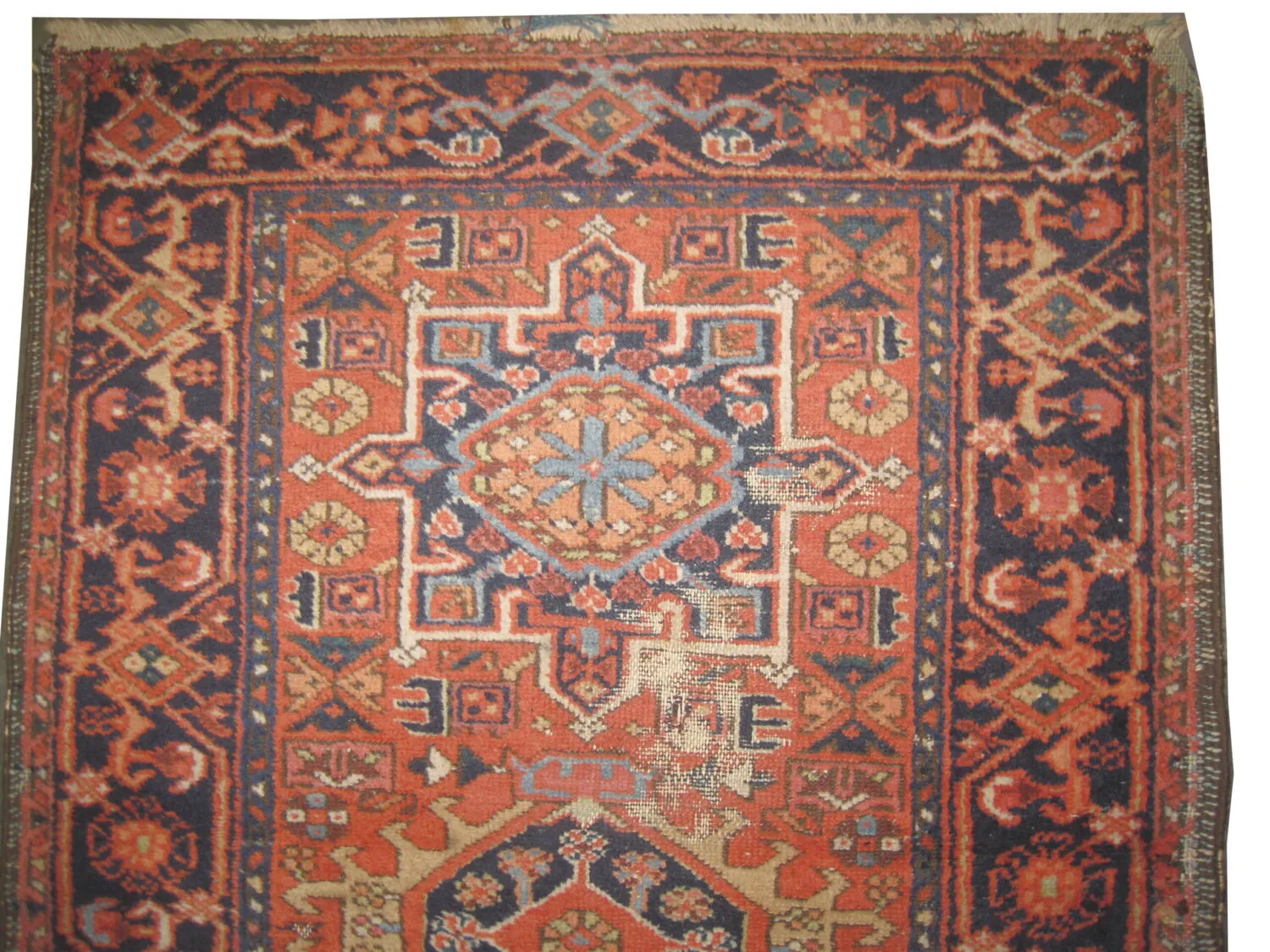 Karadja Persian - Image 2