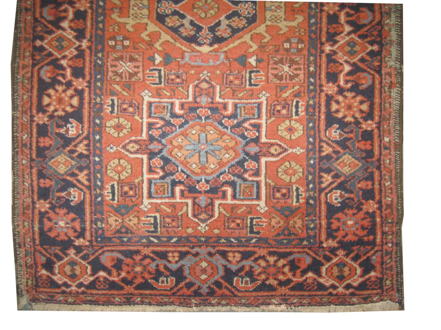 Karadja Persian - Image 3