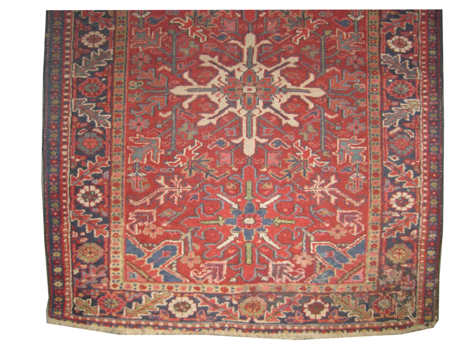 Karadja Persian - Image 2