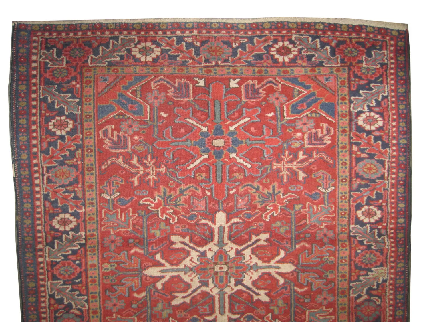 Karadja Persian - Image 3