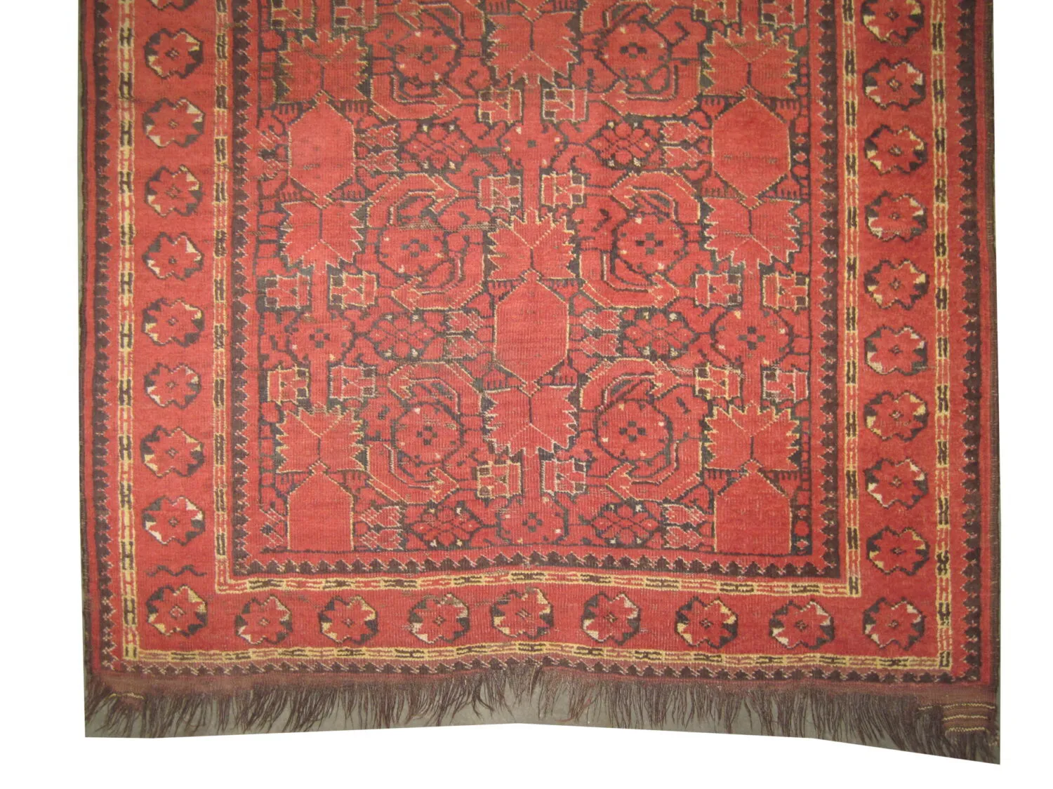 Beshir Turkmen - Image 2