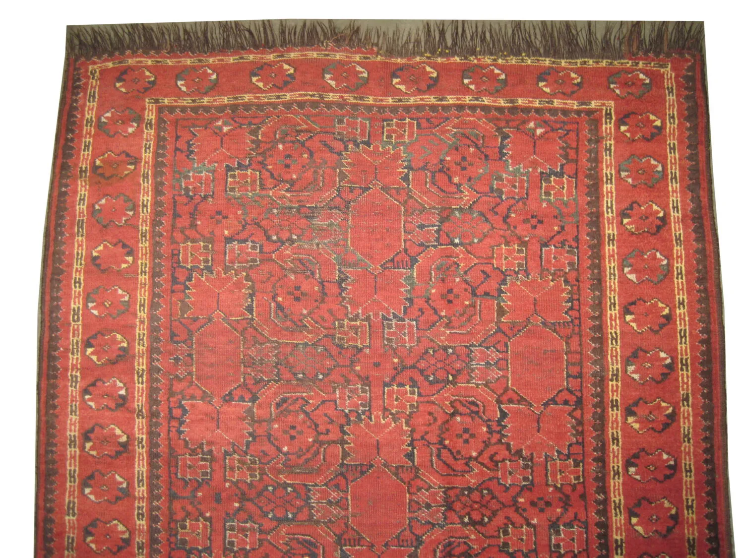 Beshir Turkmen - Image 3