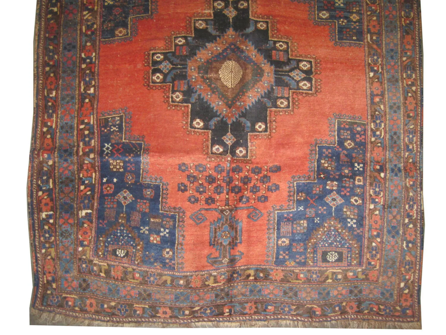 Afshar Persian - Image 2