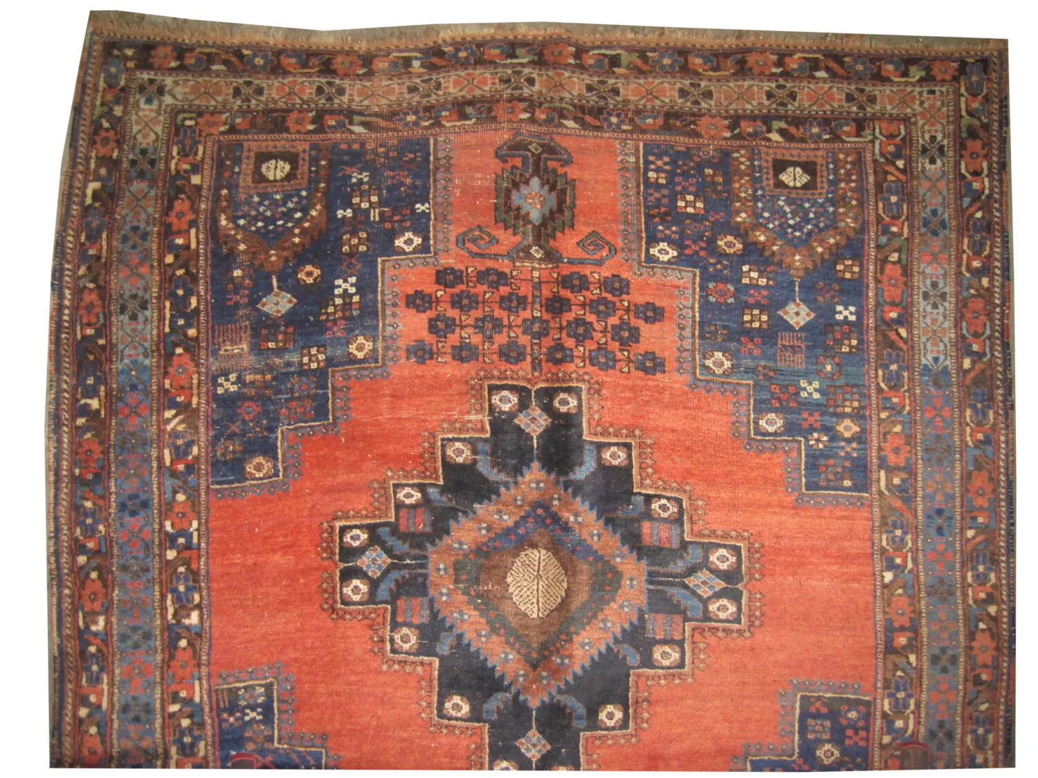 Afshar Persian - Image 3