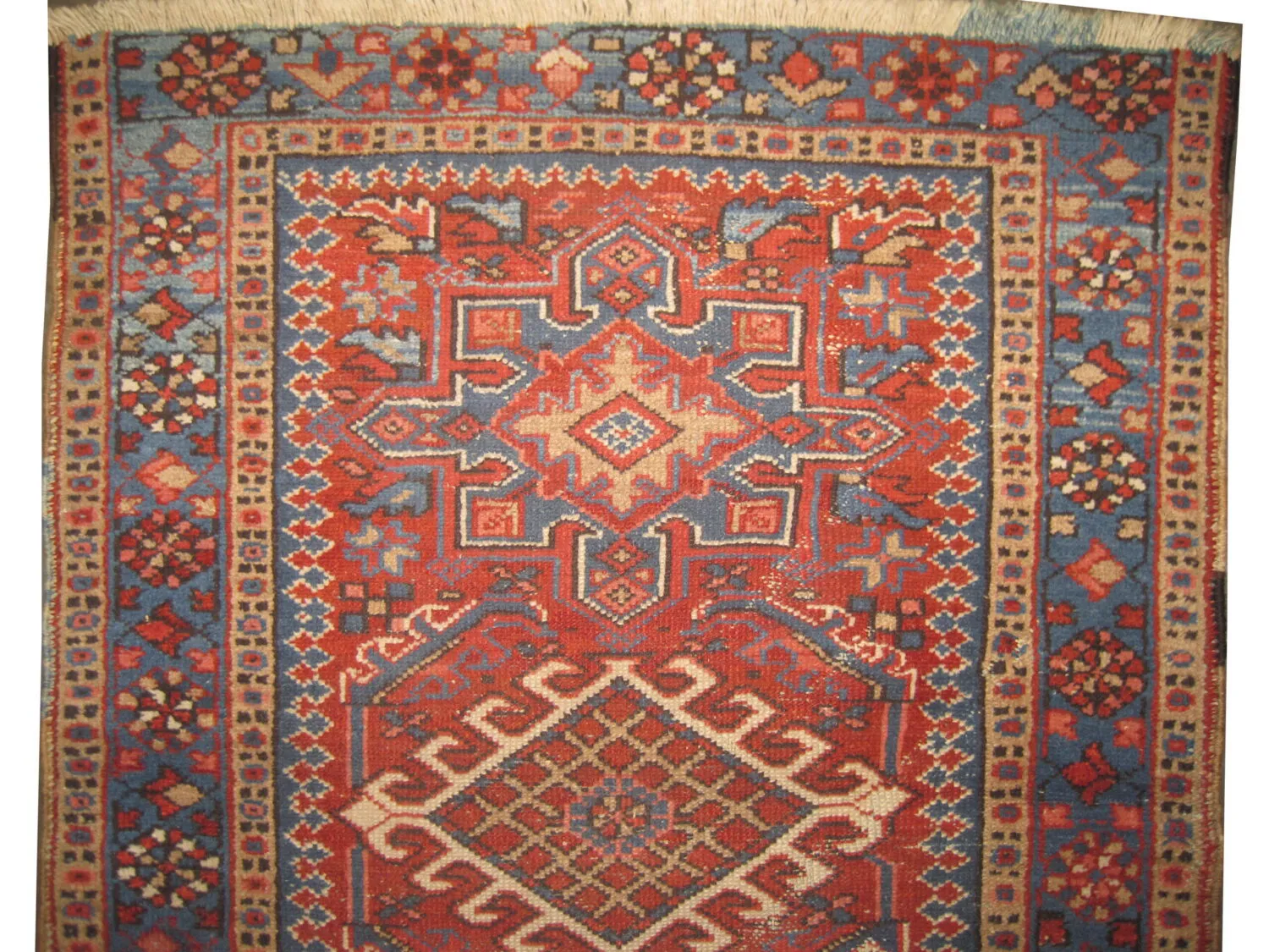 Karadja Persian - Image 2