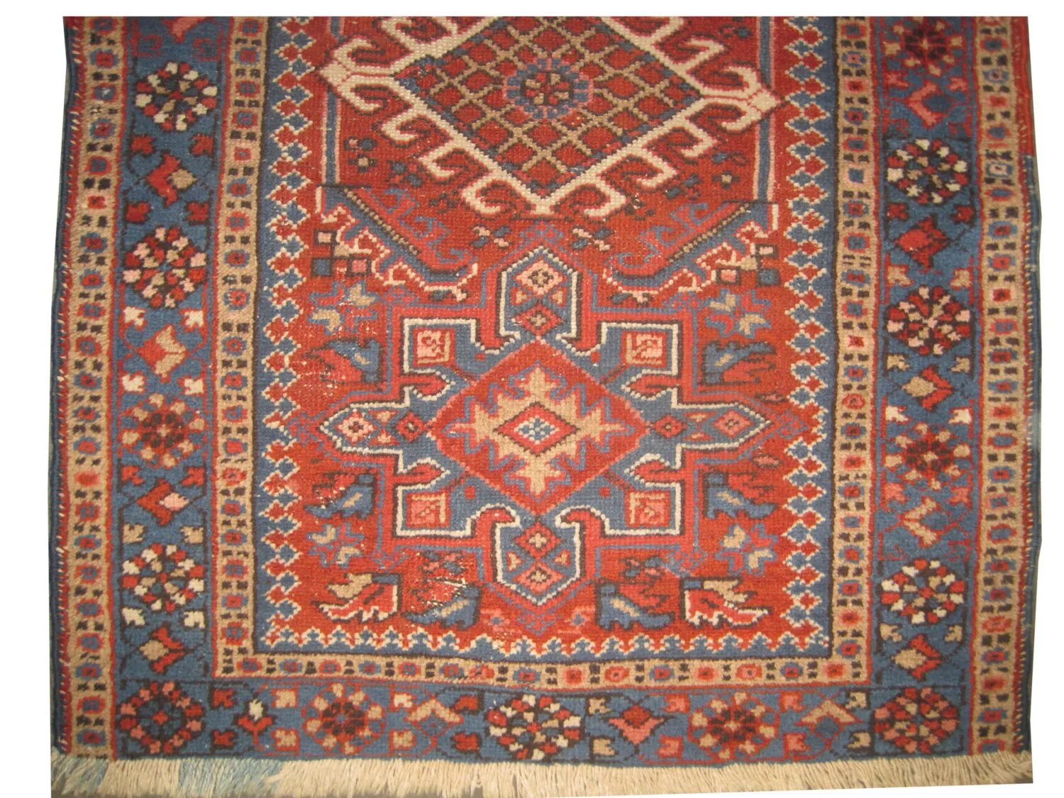 Karadja Persian - Image 2