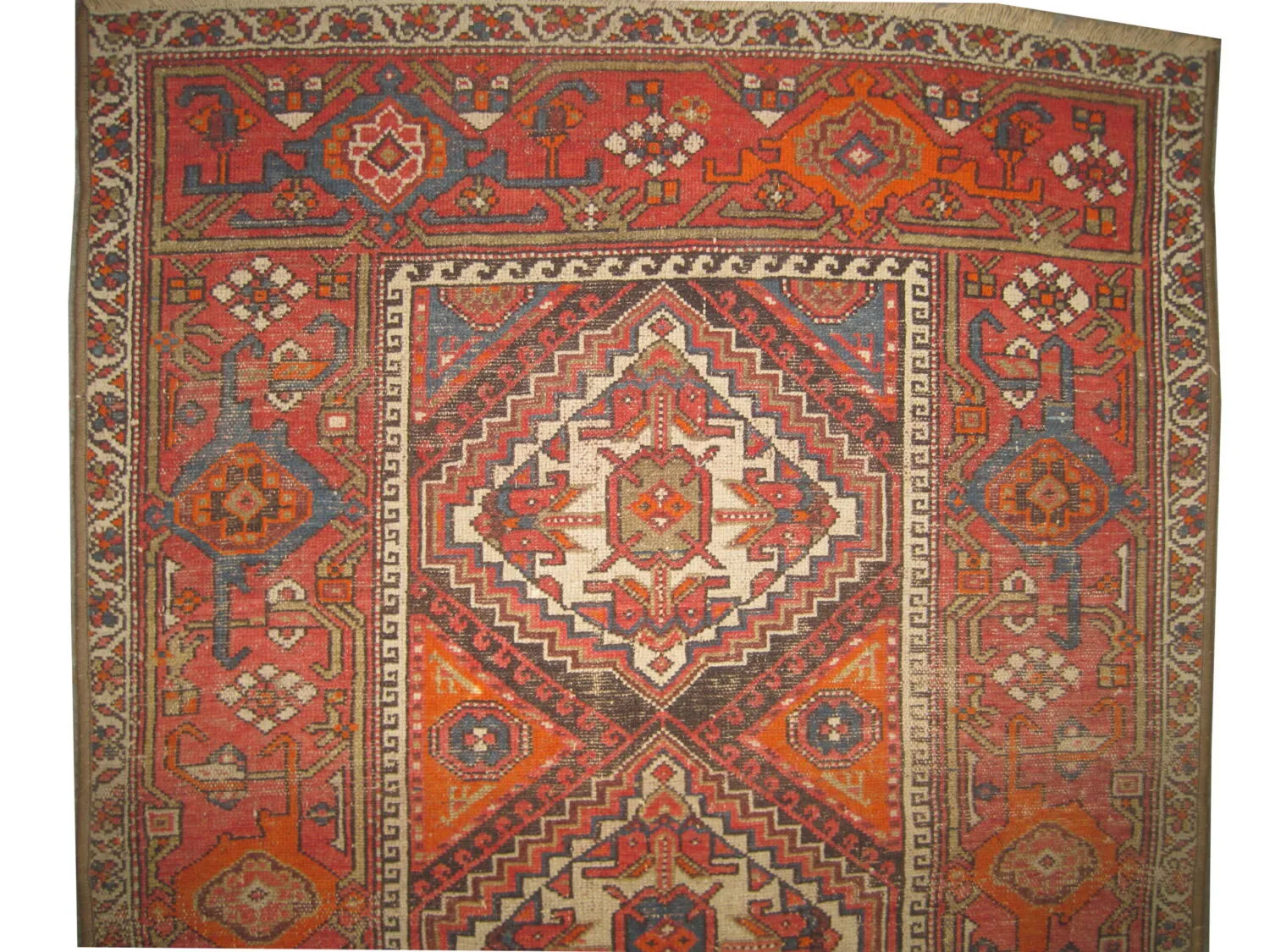 Malaier Persian - Image 3
