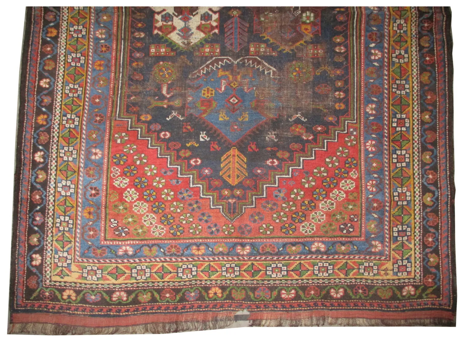 Veramin Kurd Persian - Image 3