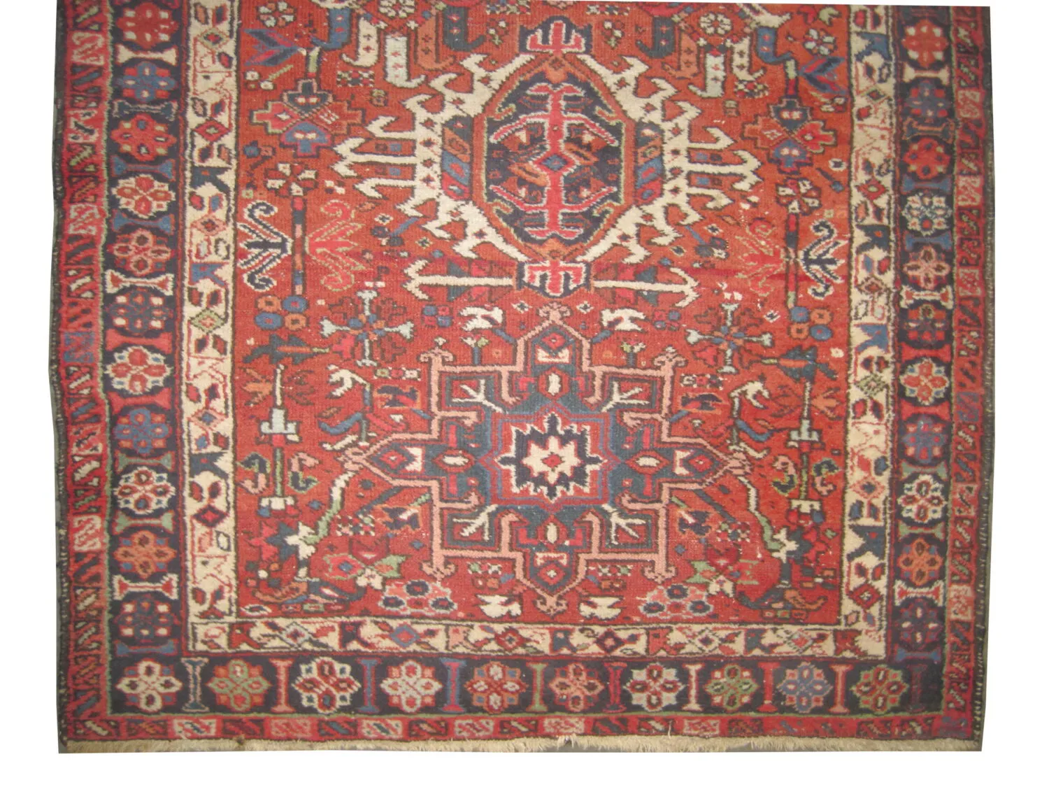 Karadja Persian - Image 3