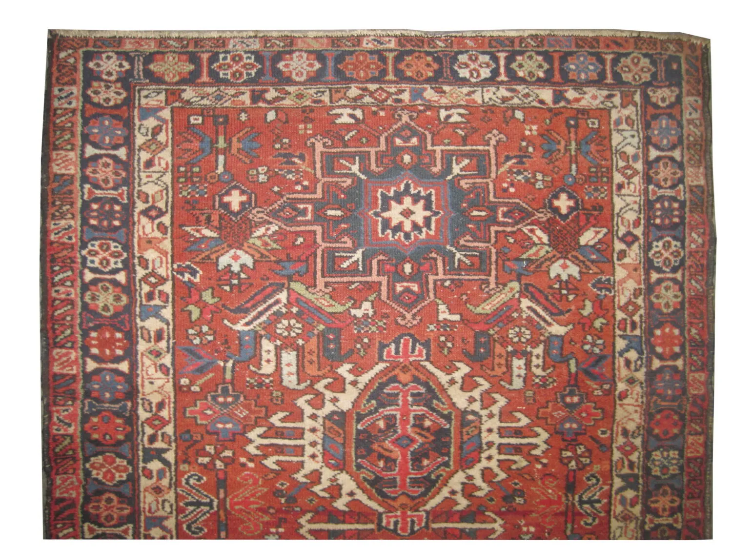 Karadja Persian - Image 2