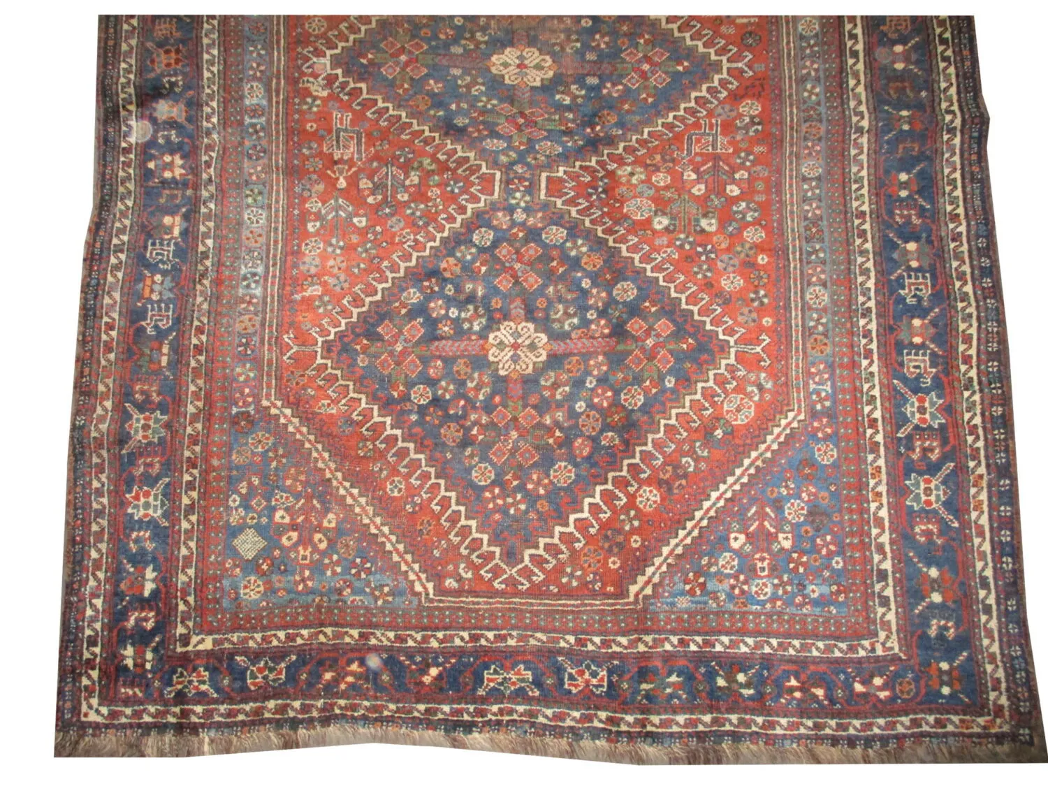 Qashqai Persian - Image 2