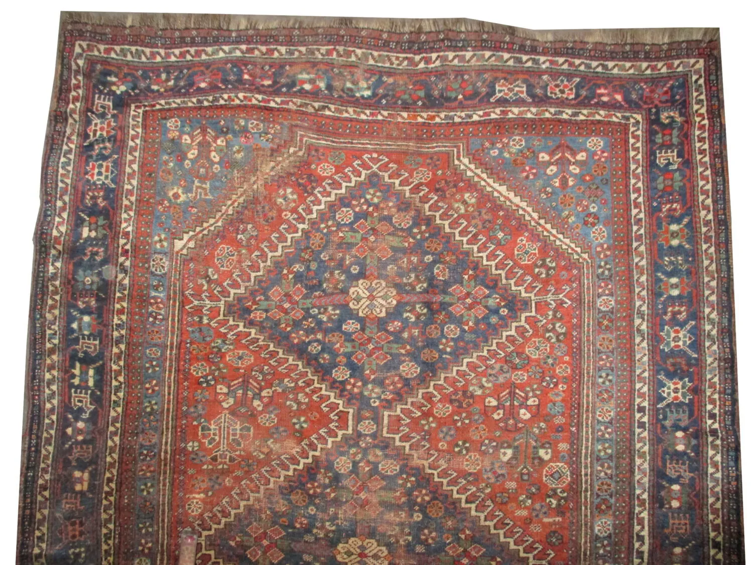 Qashqai Persian - Image 3