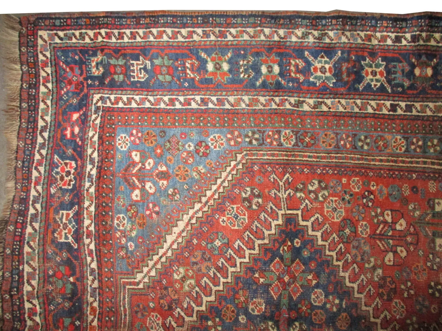 Qashqai Persian - Image 4