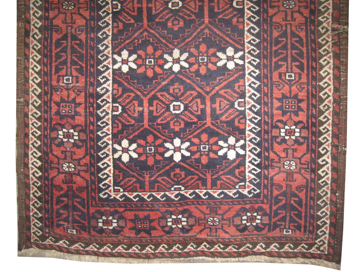 Belutsch Persian - Image 3