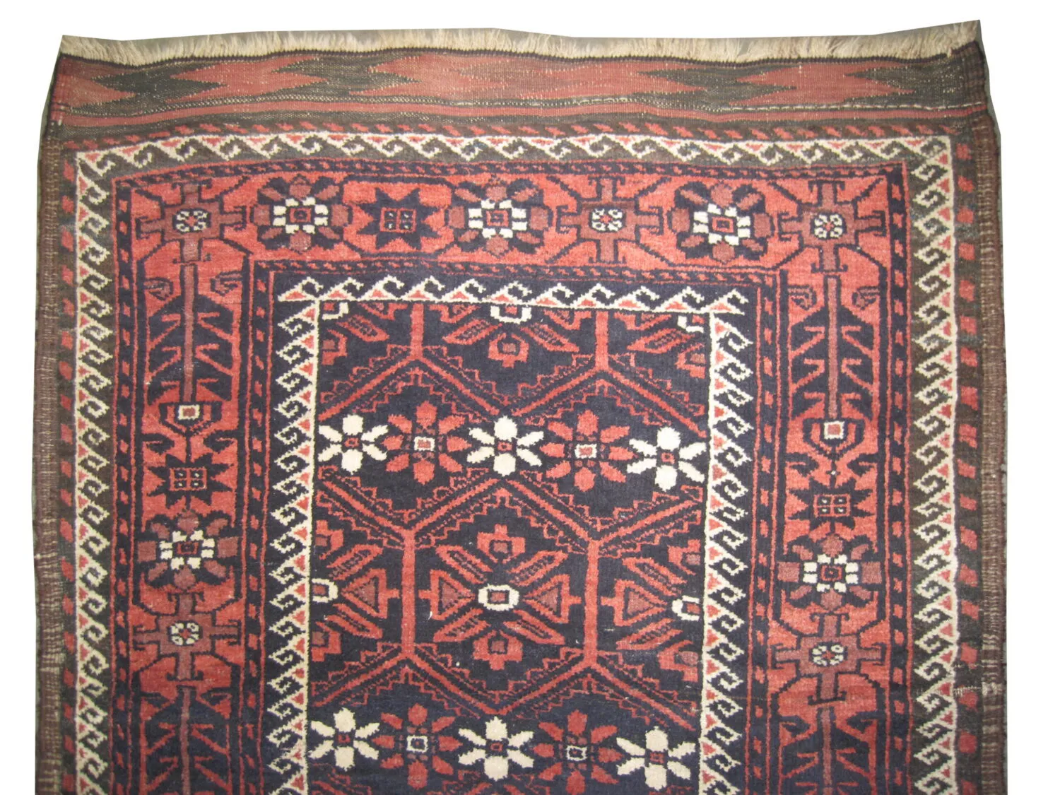 Belutsch Persian - Image 2