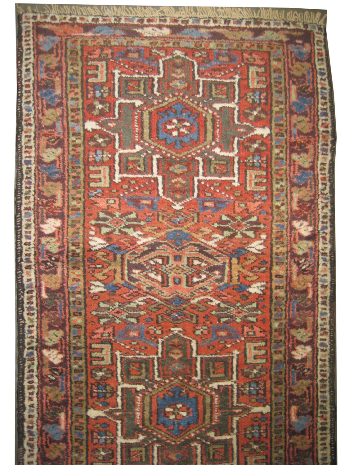 Karadja Persian - Image 2
