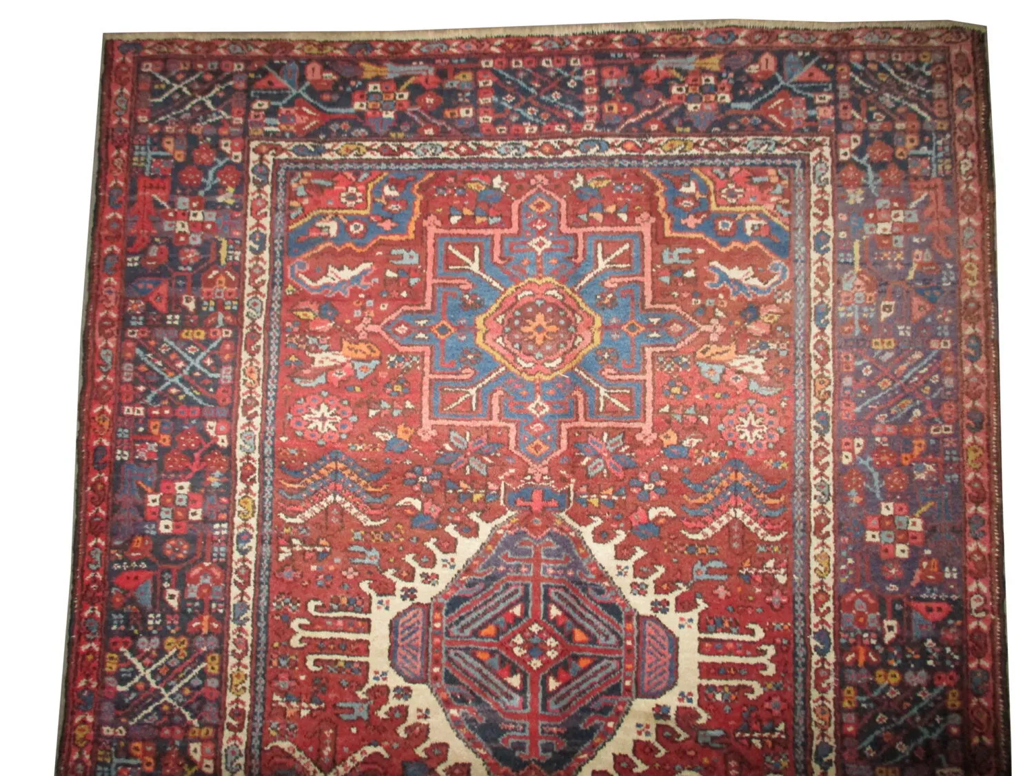 Karadja Persian - Image 3