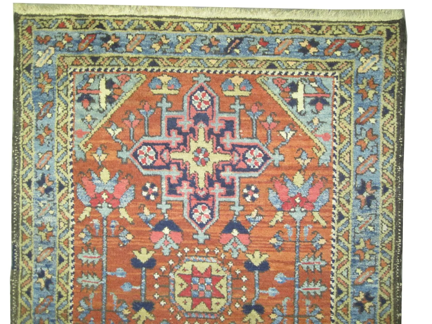 Karadja Persian - Image 3