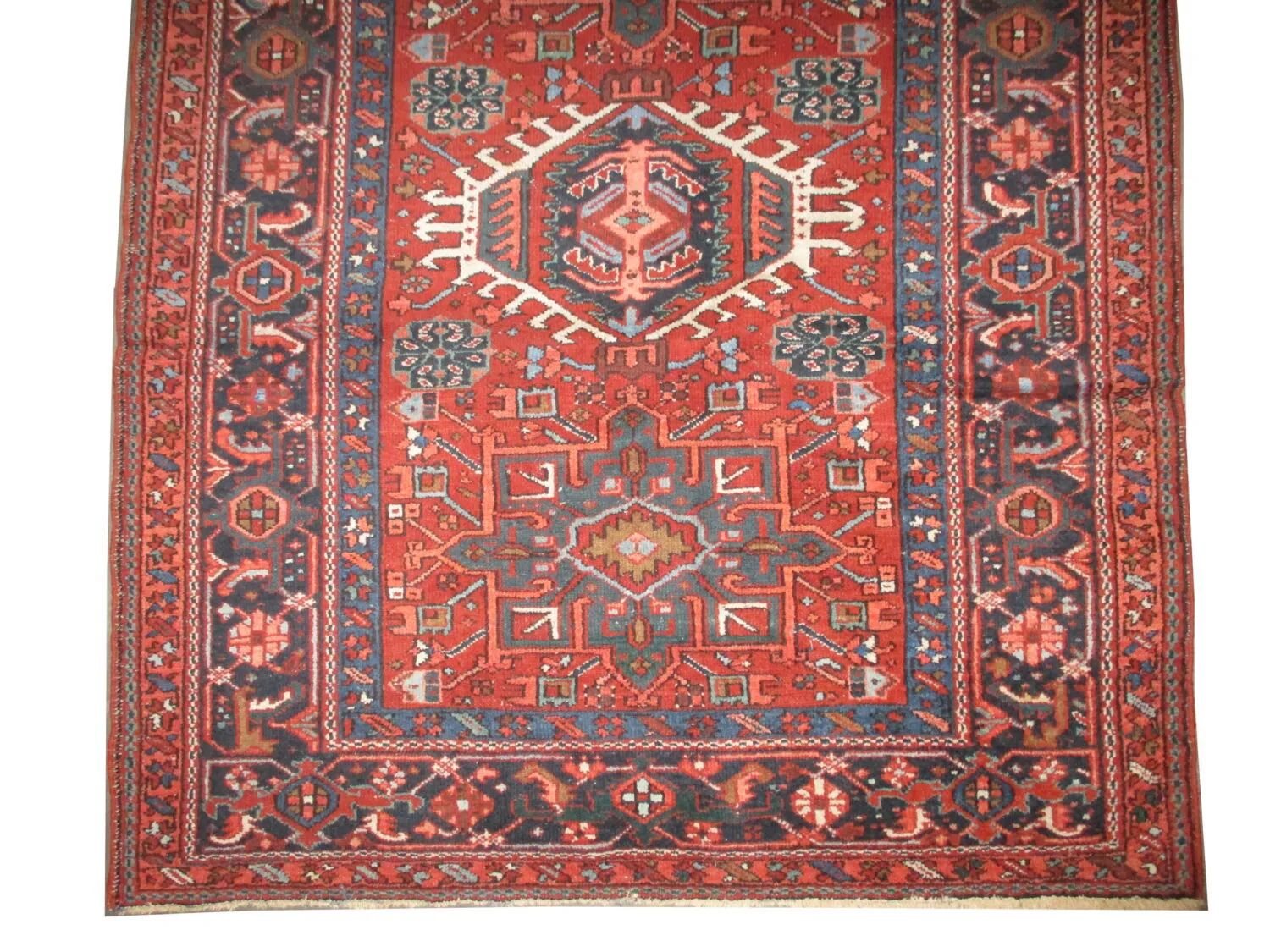Karadja Persian - Image 3