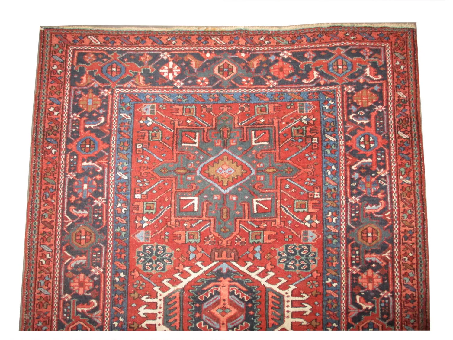 Karadja Persian - Image 2