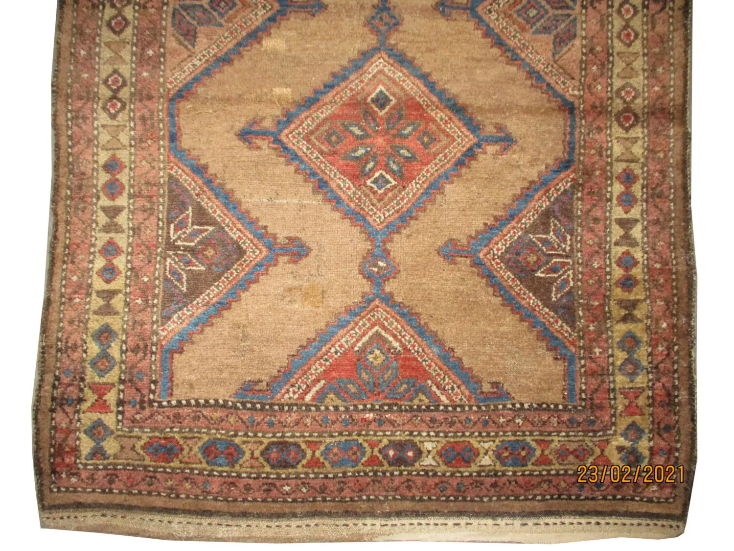Sarab Persian - Image 2