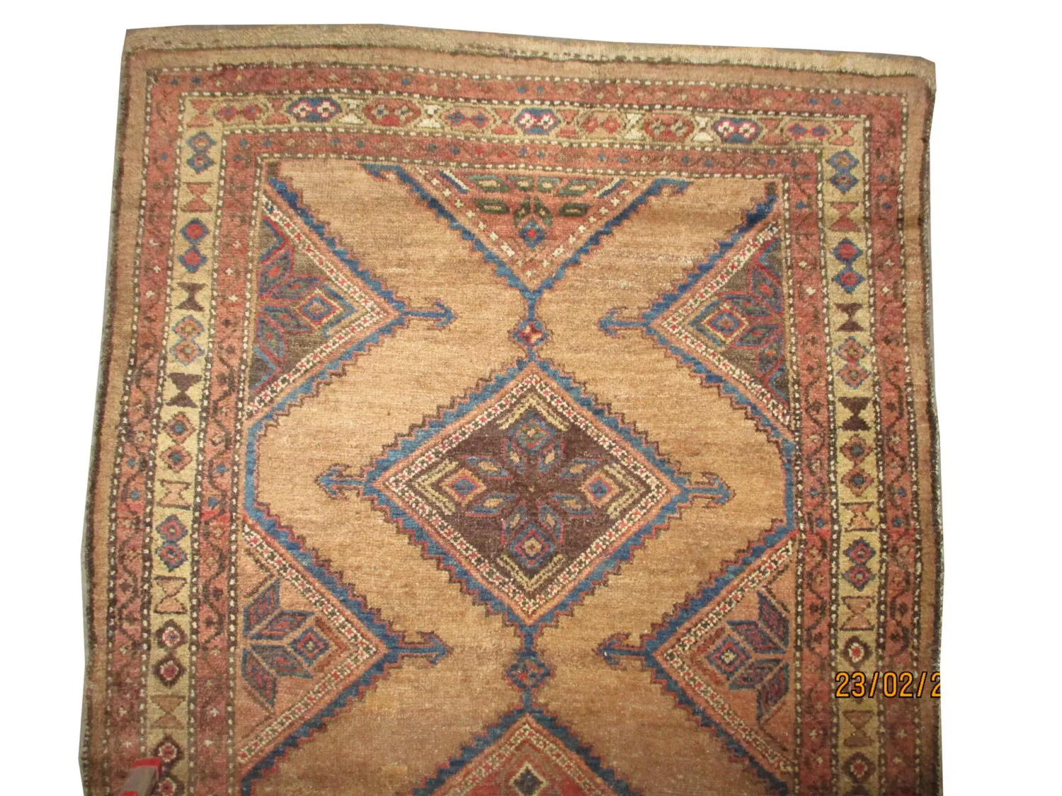 Sarab Persian - Image 3