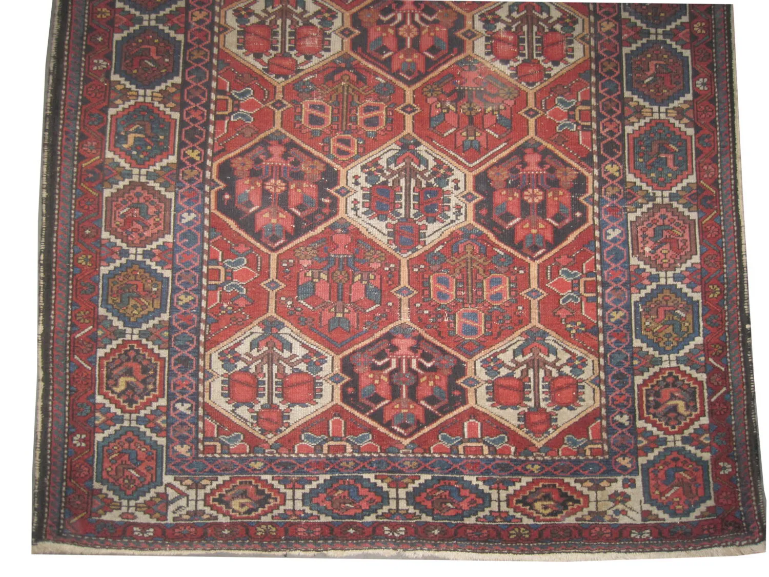 Bakhtiar Persian - Image 2