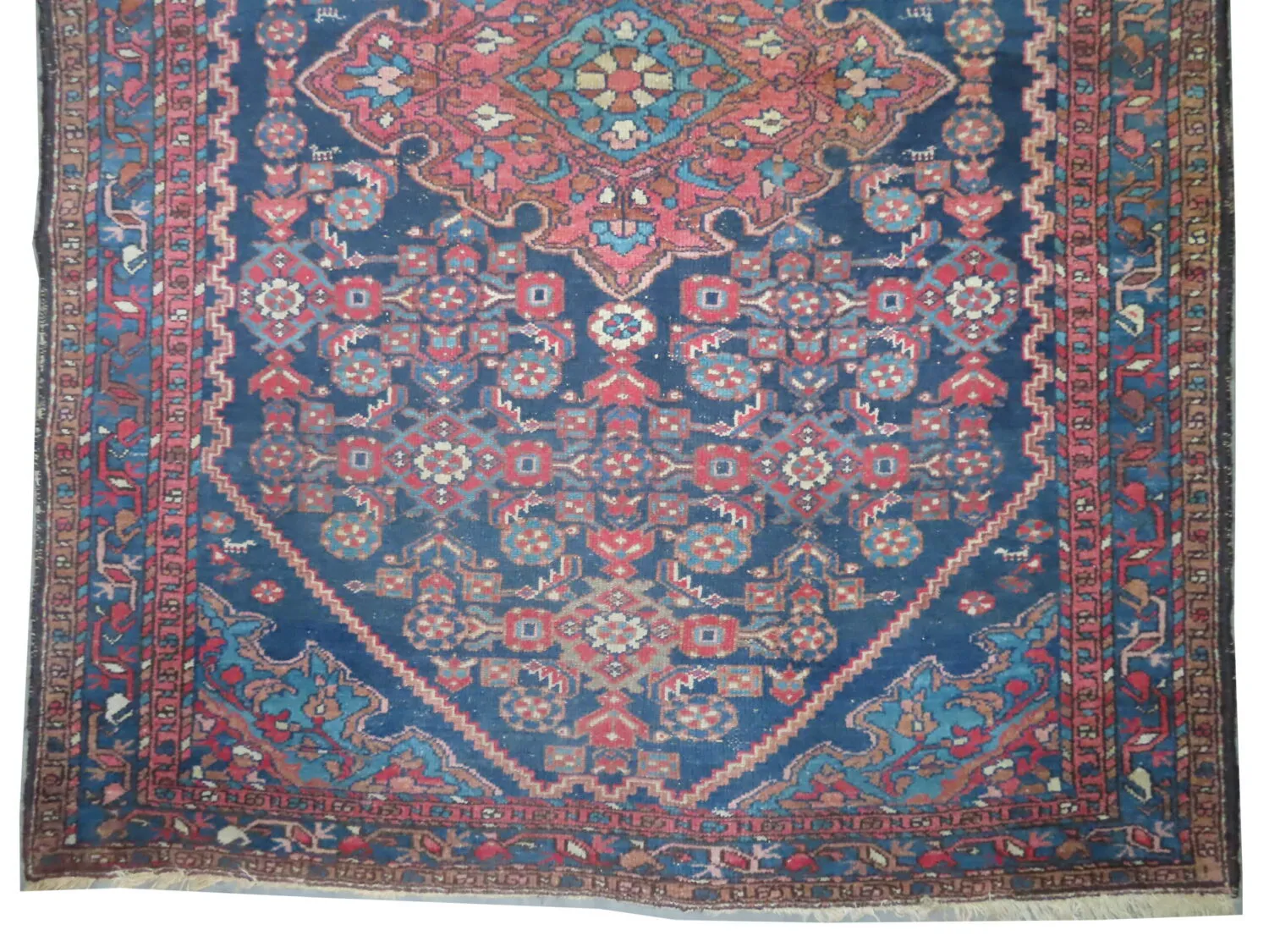 Enjilaz Persian - Image 2